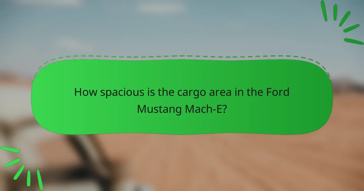 How spacious is the cargo area in the Ford Mustang Mach-E?